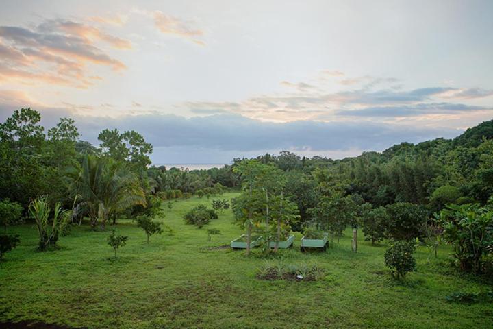 Kirpal Meditation and Ecological Center photo 32