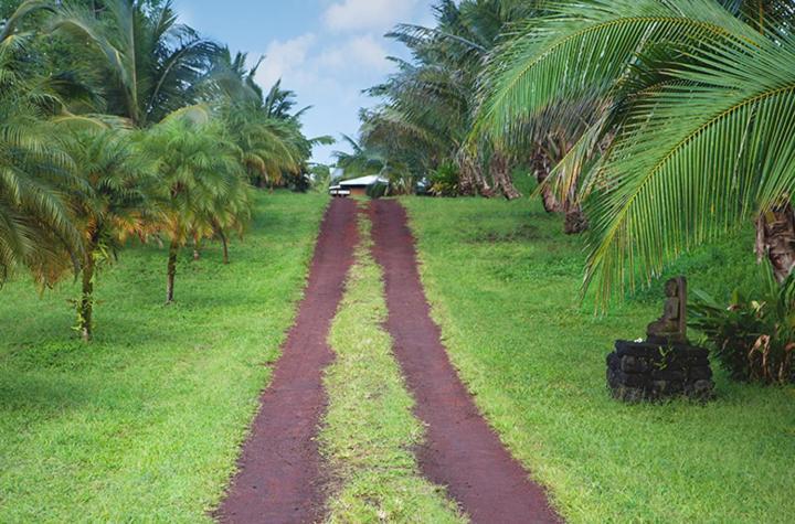Kirpal Meditation and Ecological Center photo 33