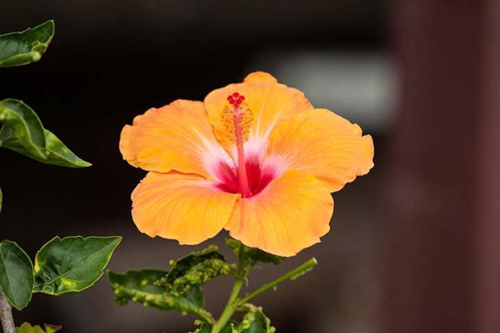 Kirpal Meditation and Ecological Center photo 34