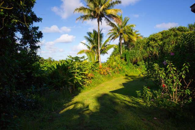 Kirpal Meditation and Ecological Center photo 40
