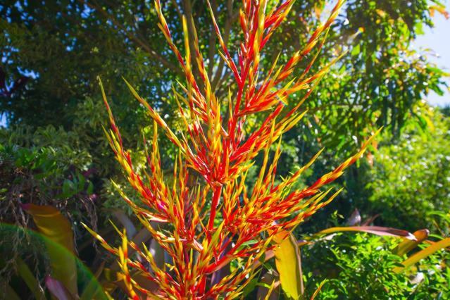 Kirpal Meditation and Ecological Center photo 41