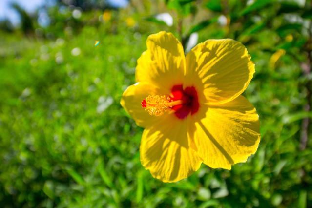 Kirpal Meditation and Ecological Center photo 42