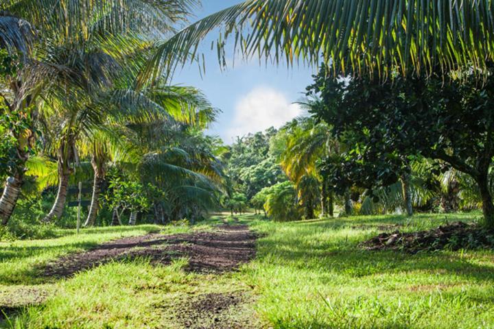 Kirpal Meditation and Ecological Center photo 46