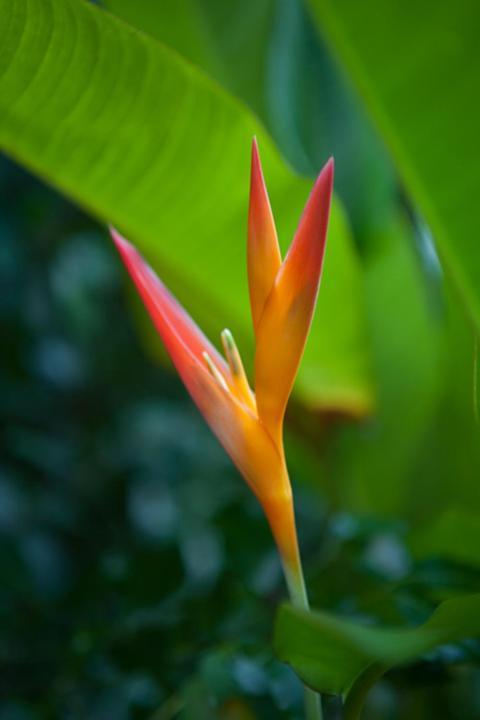Kirpal Meditation and Ecological Center photo 55