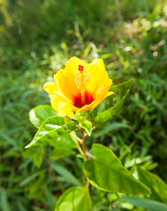 Kirpal Meditation and Ecological Center photo 57