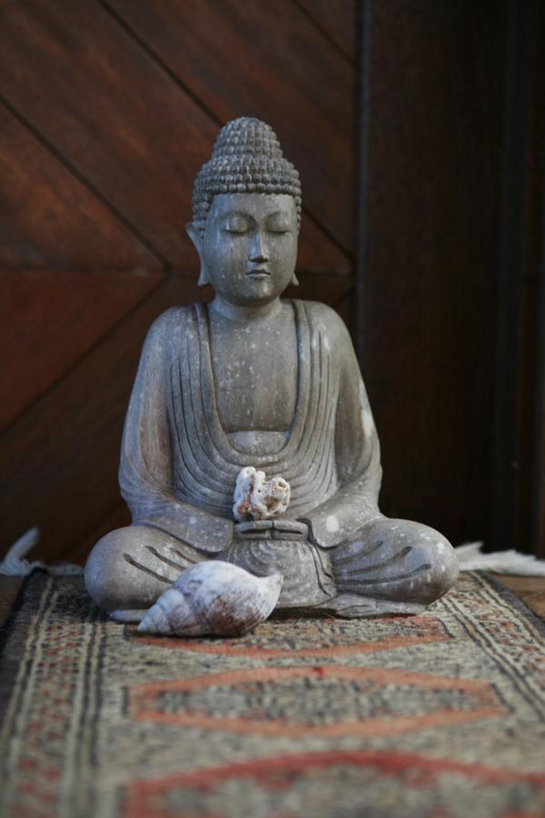 Kirpal Meditation and Ecological Center photo 26