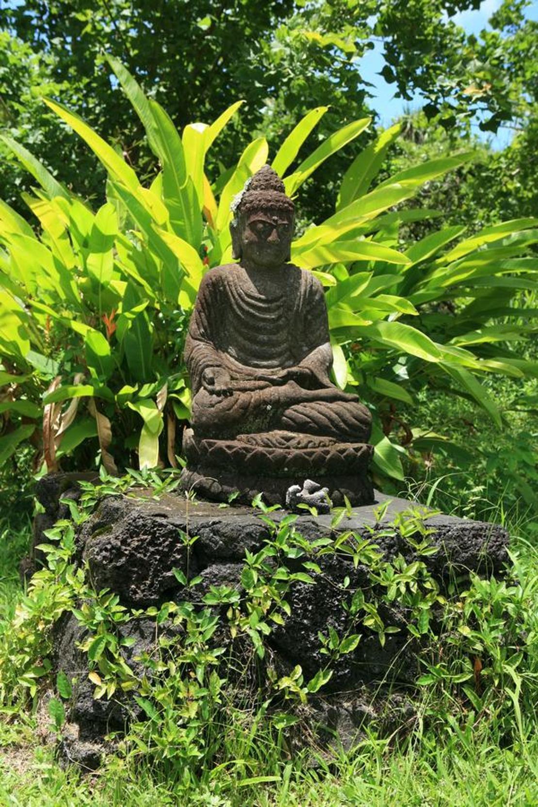 Kirpal Meditation and Ecological Center photo 53