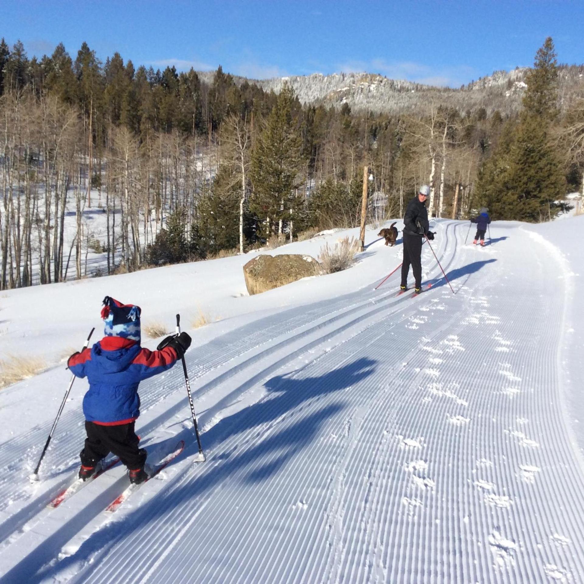 Homestake Lodge photo 7