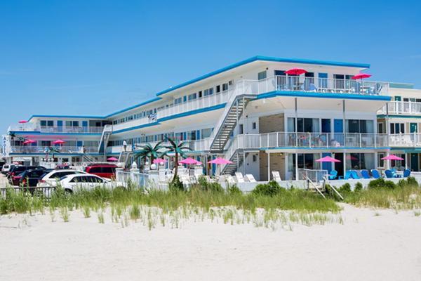 Apollo Motel photo 7