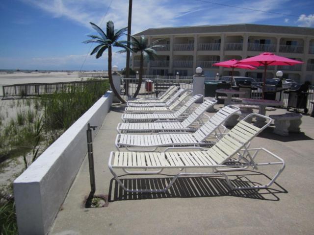 Apollo Motel photo 6
