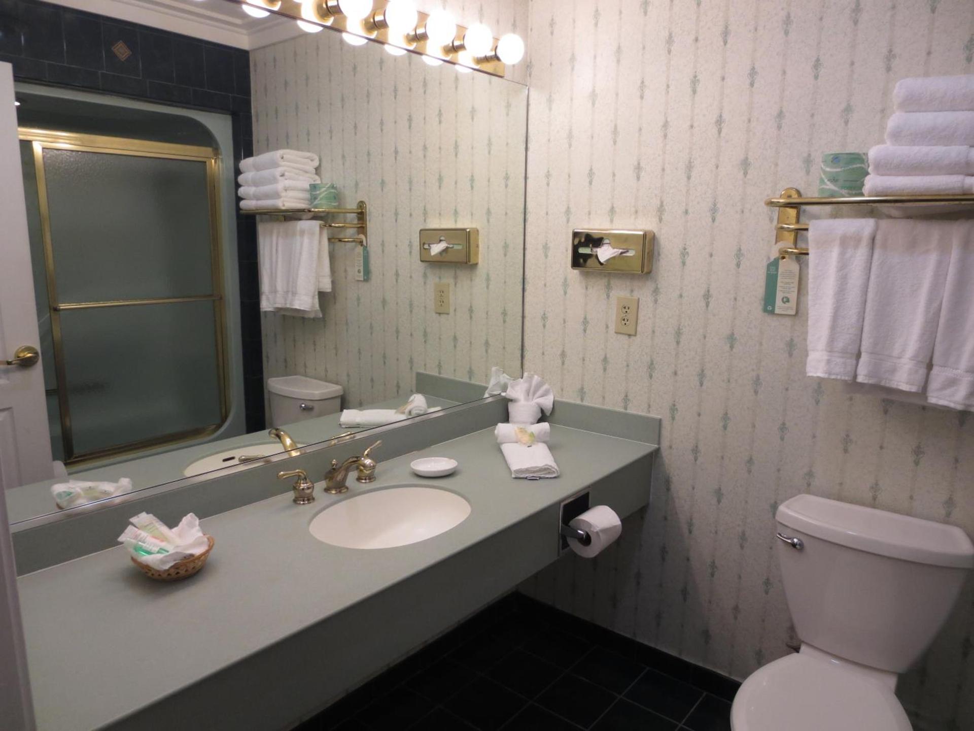 Roosevelt Inn & Suites Saratoga Springs photo 97