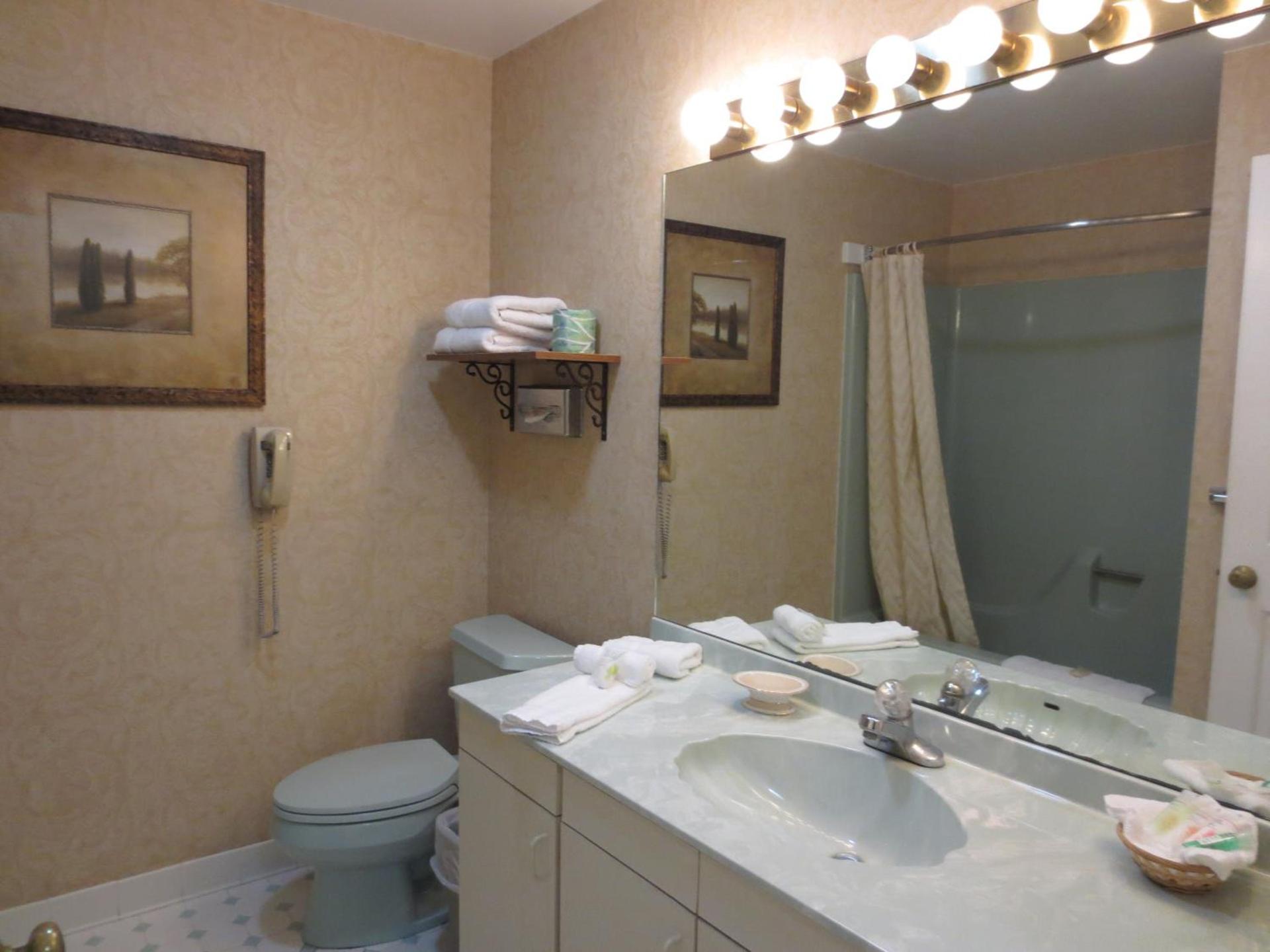 Roosevelt Inn & Suites Saratoga Springs photo 98