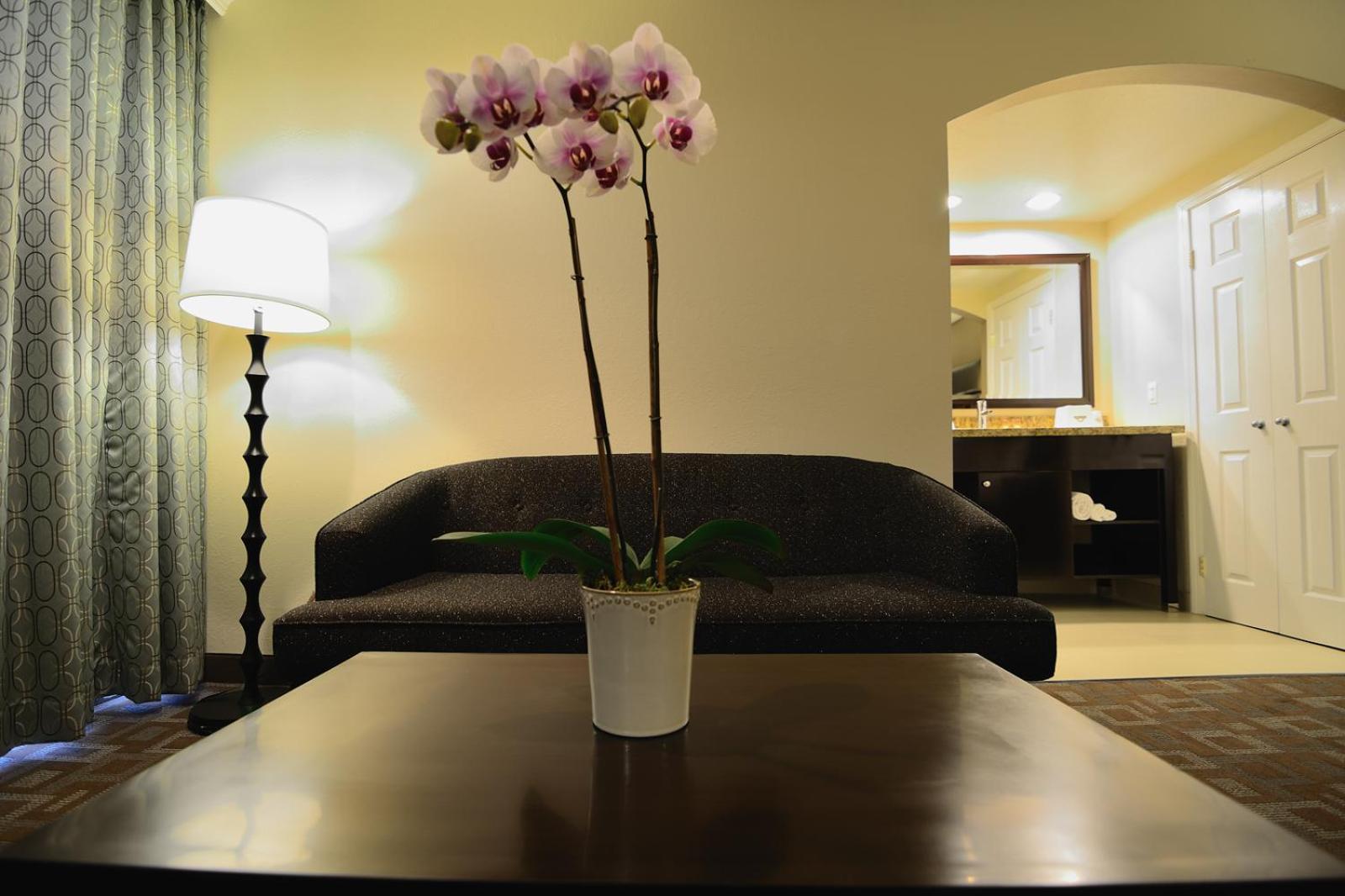 Days Inn by Wyndham Downey photo 18