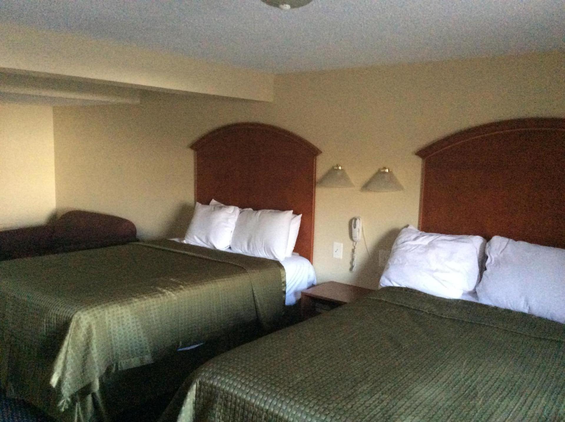 Royal Inn photo 22