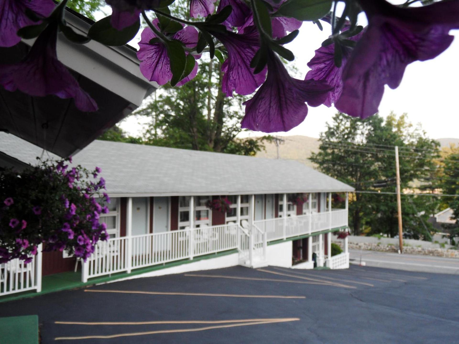 Pinebrook Motel photo 15
