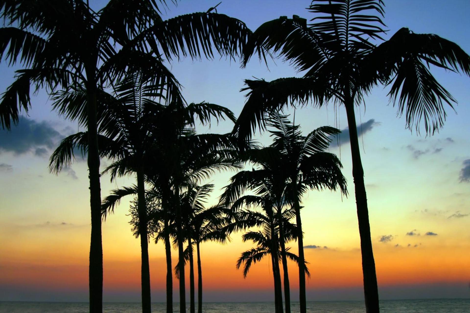 Plaza Beach Hotel - Beachfront Resort photo 41