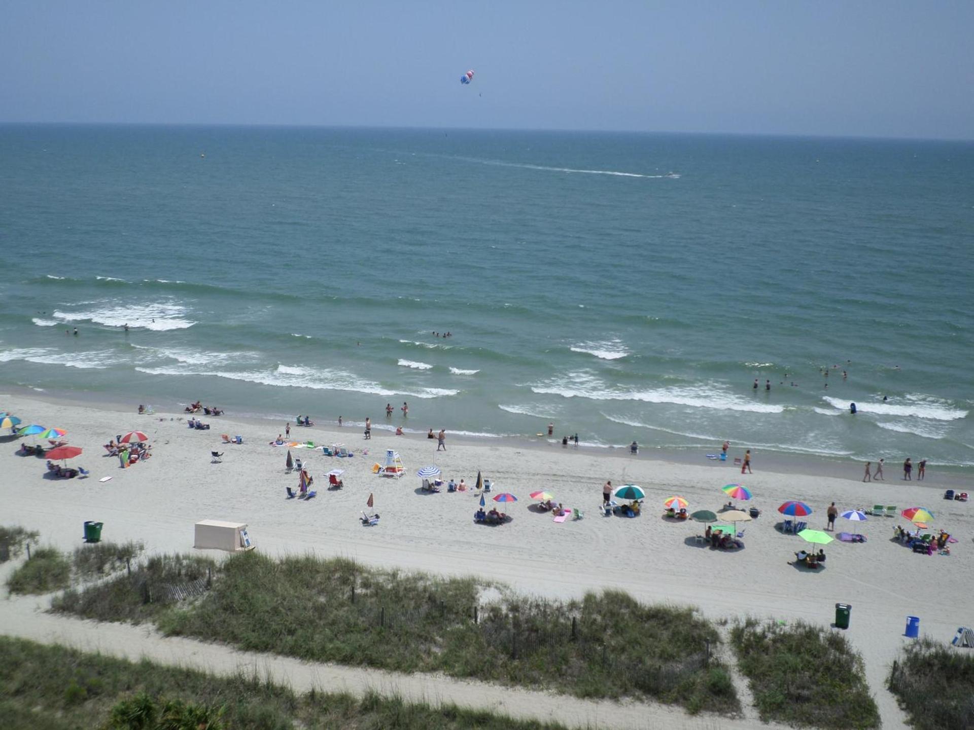 Tropical Seas Hotel photo 45