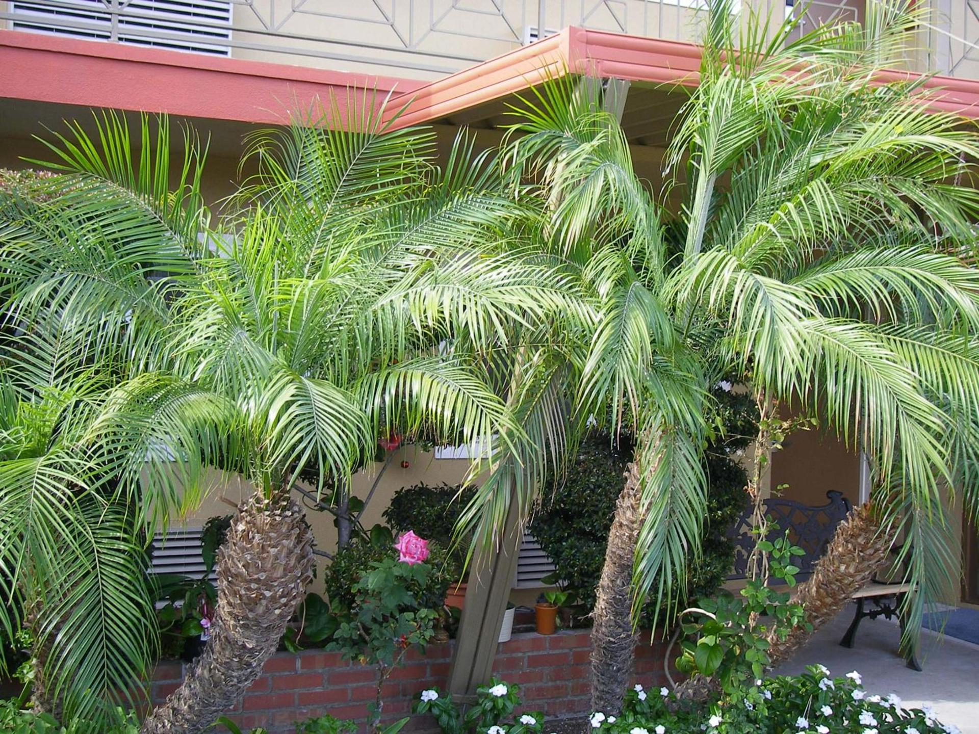 Fullerton Lodge photo 10