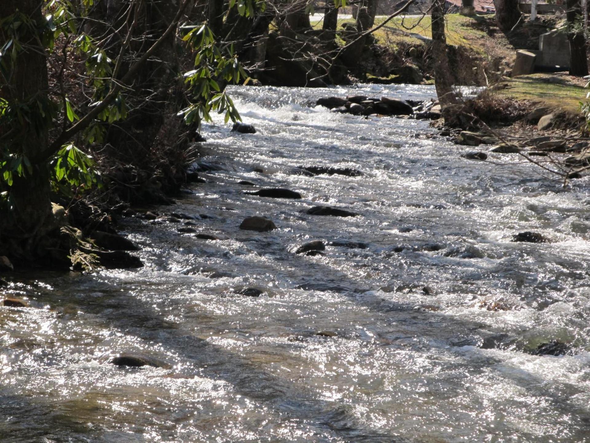 Jonathan Creek Inn and Villas photo 4
