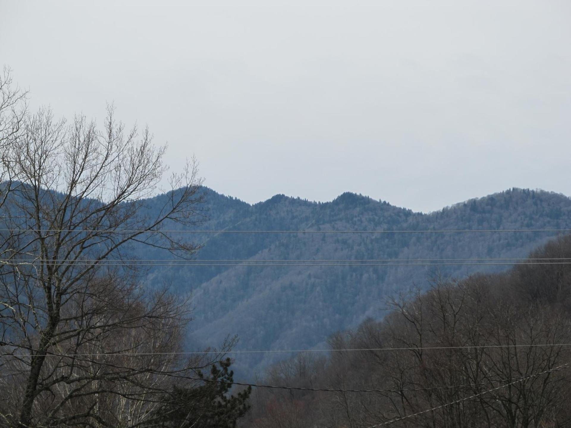 Jonathan Creek Inn and Villas photo 15