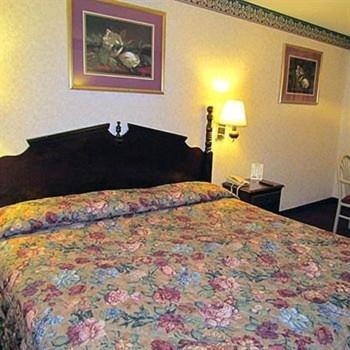 Eagle Inn Sumter photo 3