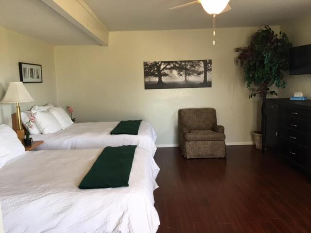 Olancha RV Park and Motel photo 16