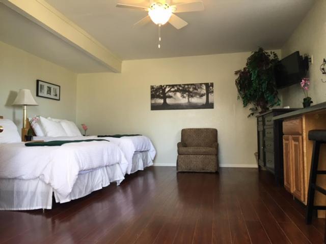 Olancha RV Park and Motel photo 18