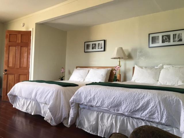 Olancha RV Park and Motel photo 19