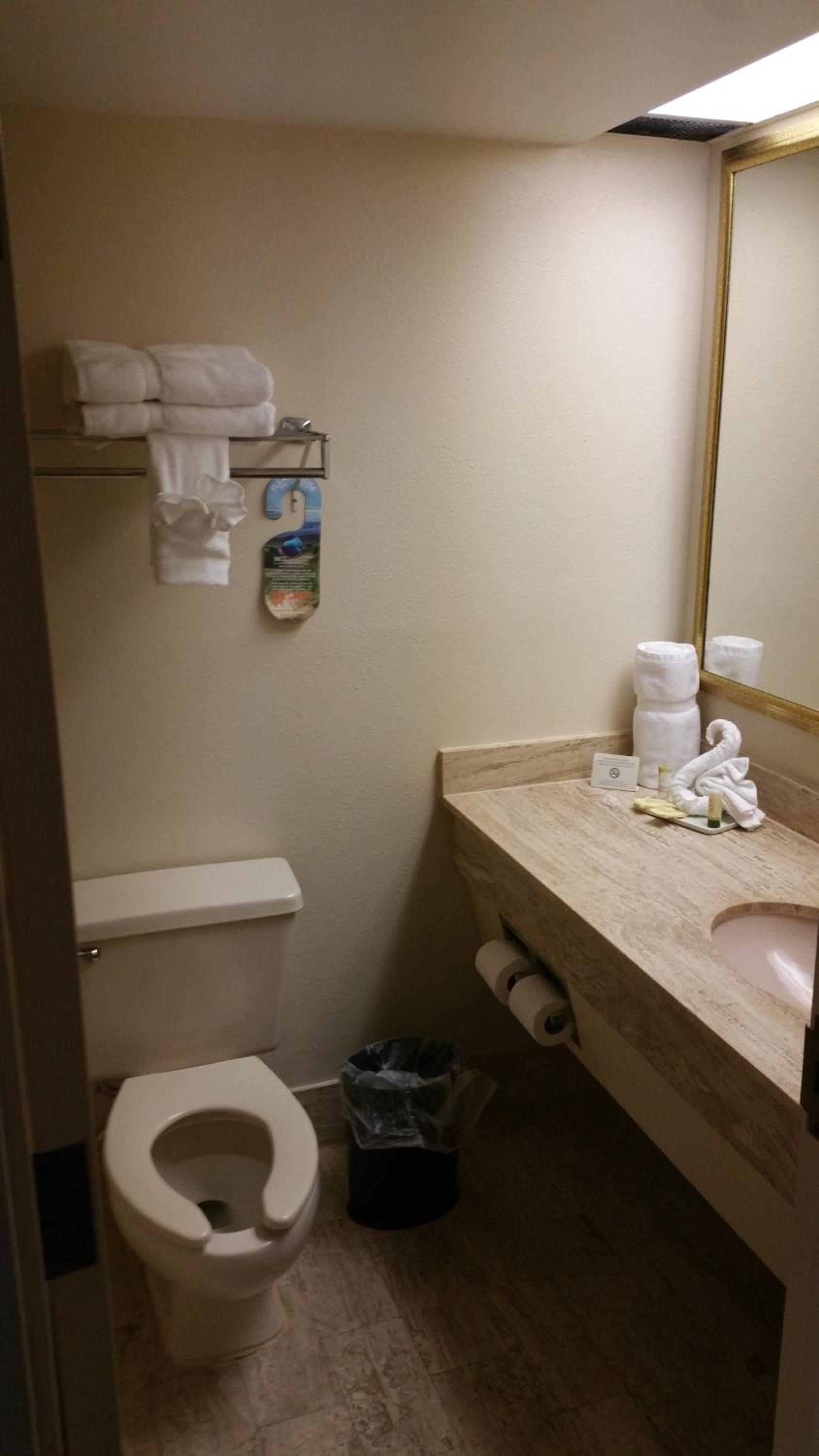 Imperial Swan Hotel and Suites Lakeland photo 24