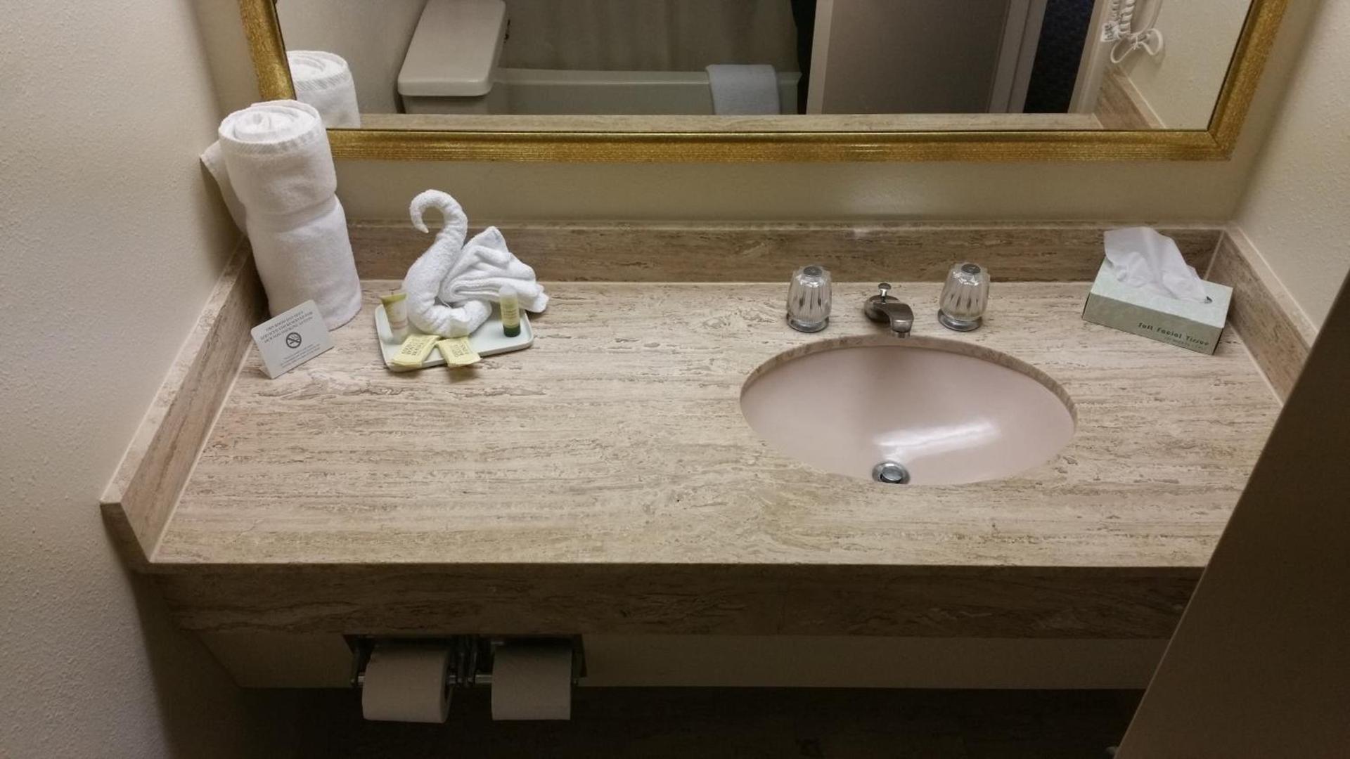 Imperial Swan Hotel and Suites Lakeland photo 29