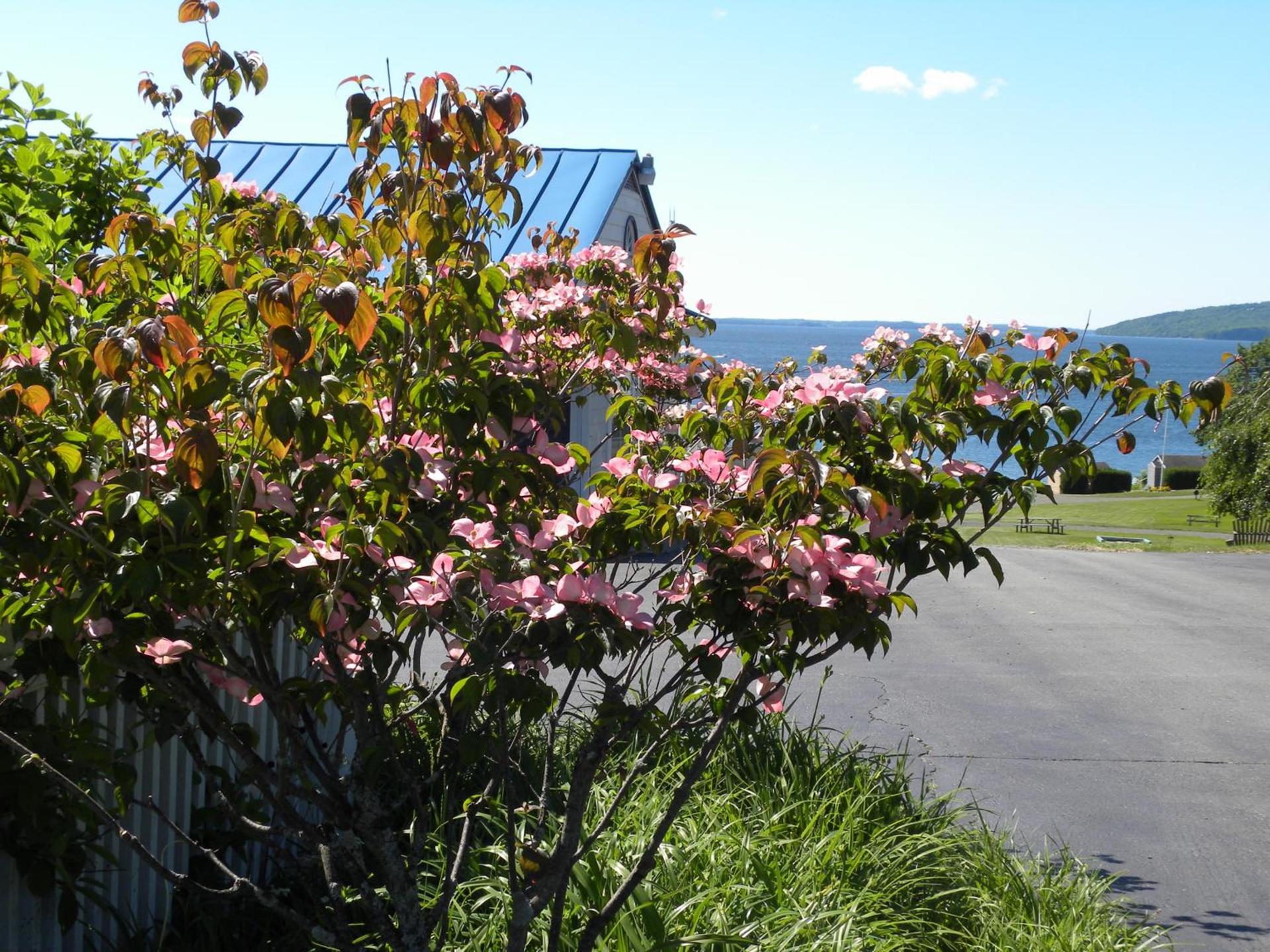 Colonial Gables Oceanfront Village photo 11
