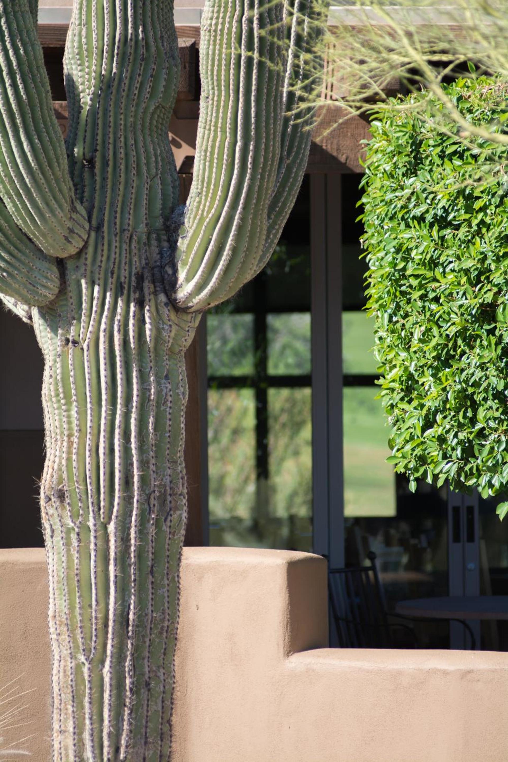 Inn at Eagle Mountain photo 32