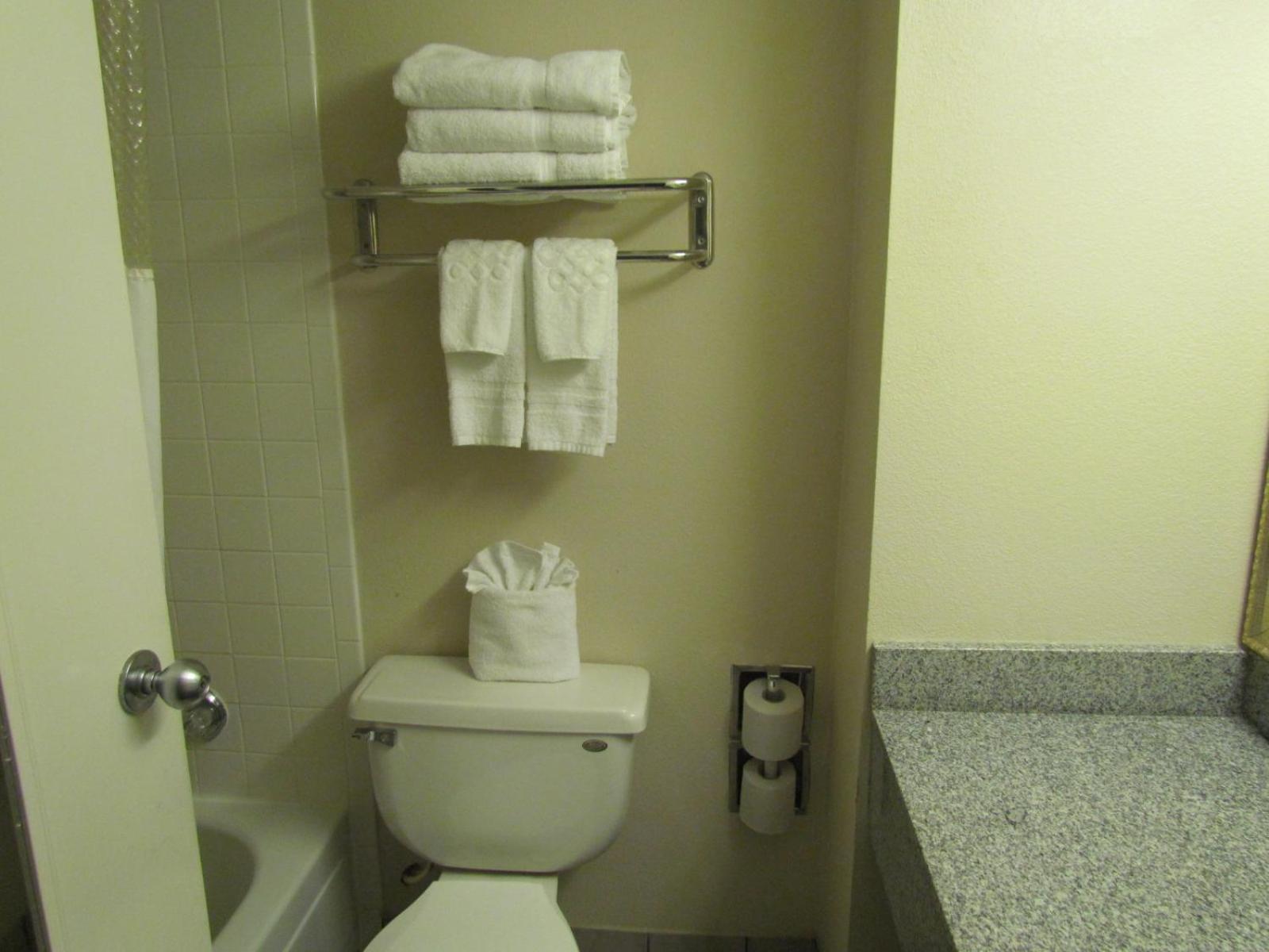 Romana Hotel - Houston Southwest photo 19