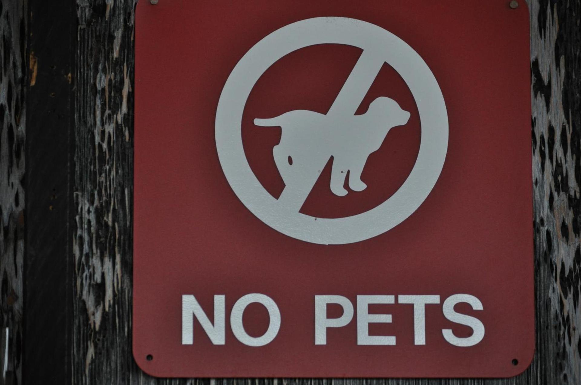 Captain John's Motel photo 21