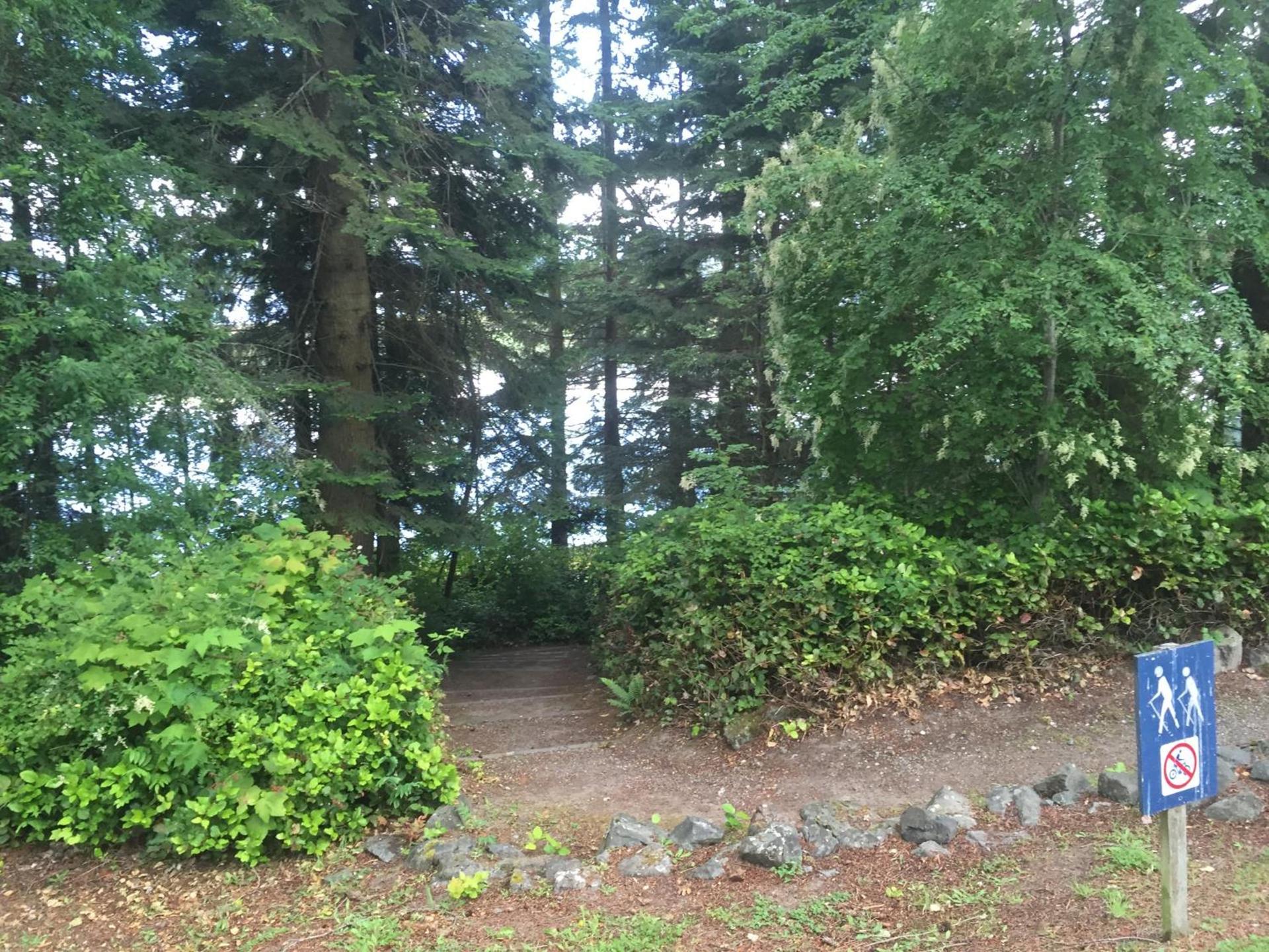 Multi Resorts at Kala Point photo 17
