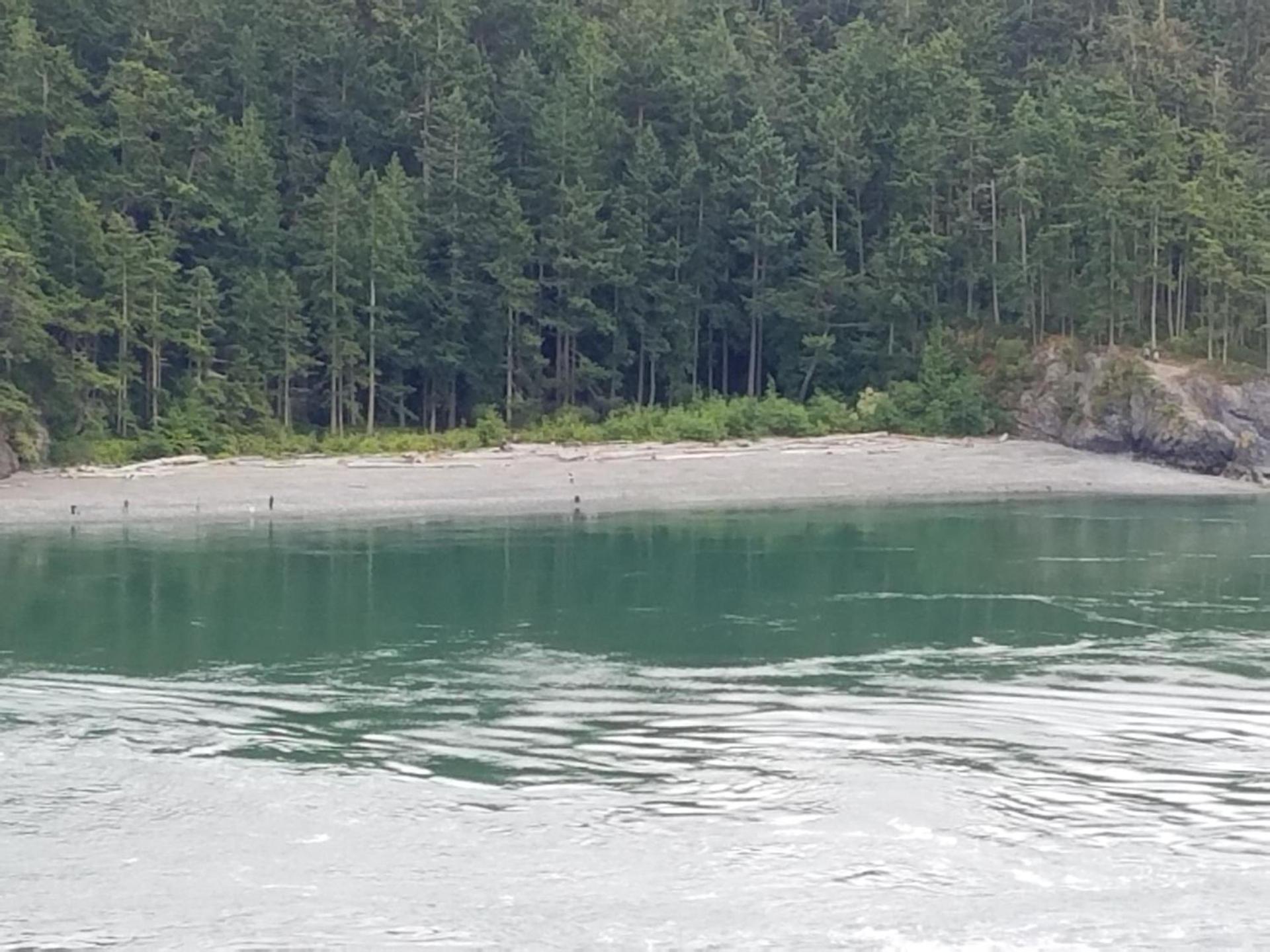 Multi Resorts at Kala Point photo 10
