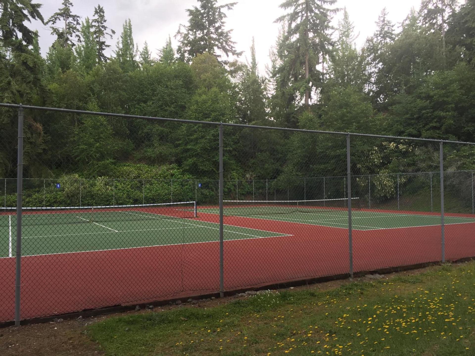 Multi Resorts at Kala Point photo 16