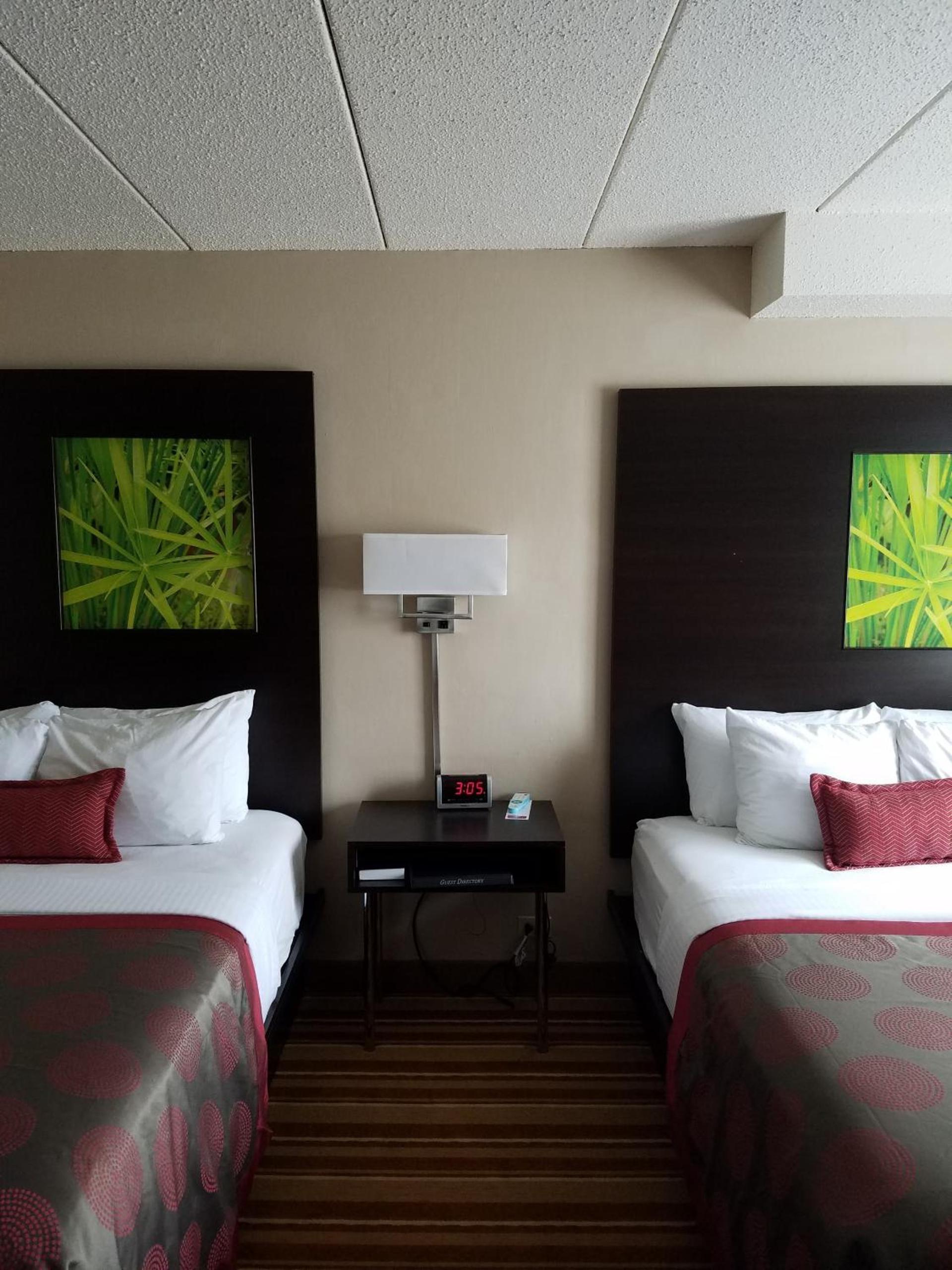 Ramada by Wyndham Minneapolis Golden Valley photo 12