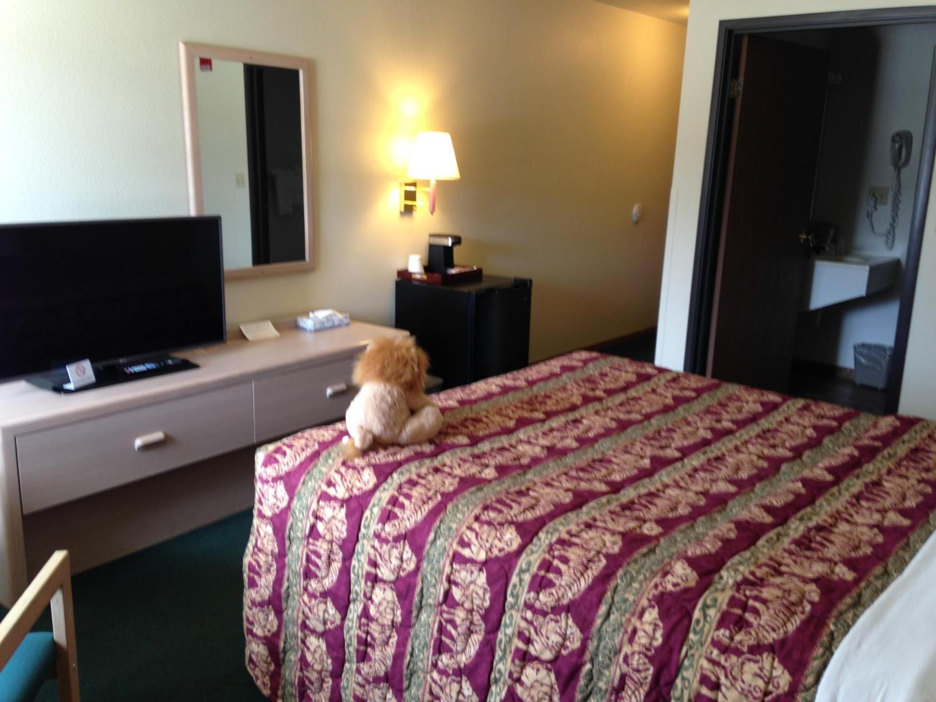 Kings Inn Cody photo 91