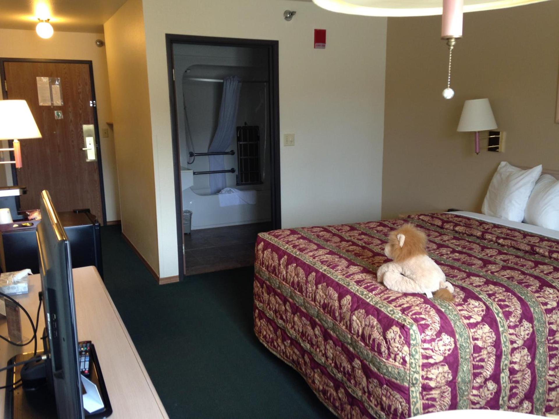 Kings Inn Cody photo 89