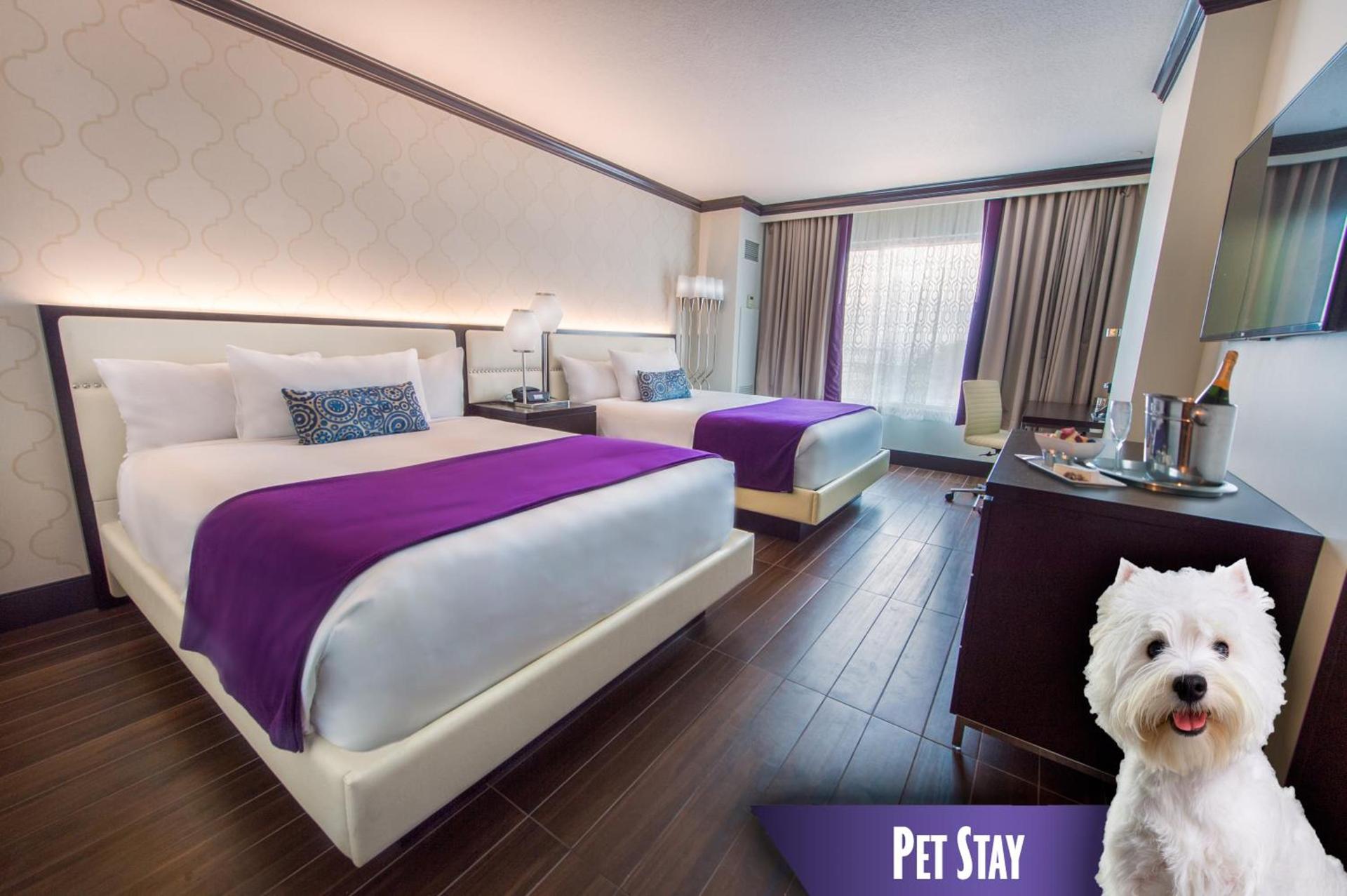 Harrah's Gulf Coast Hotel & Casino - A Caesars Rewards Destination photo 33