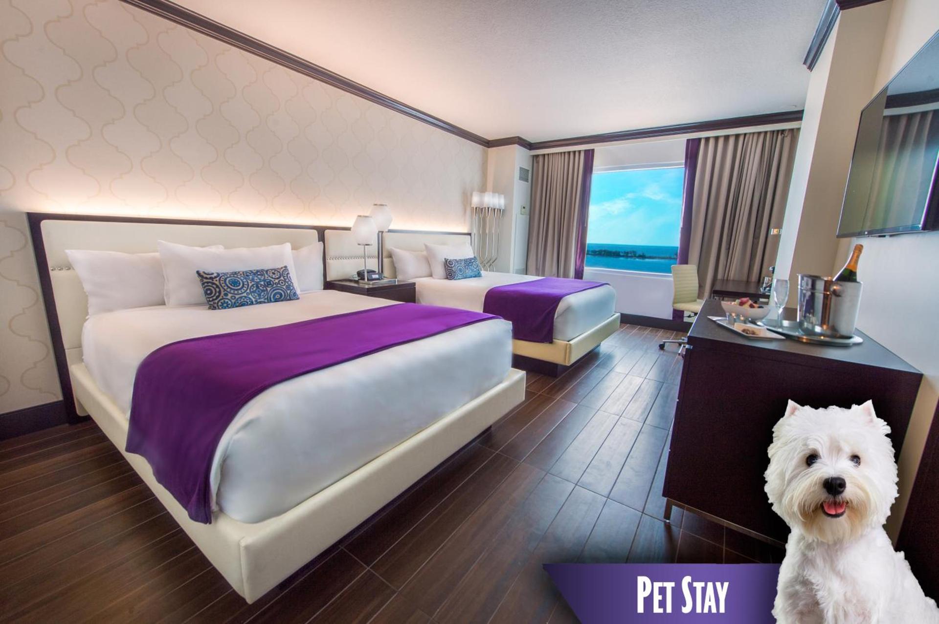 Harrah's Gulf Coast Hotel & Casino - A Caesars Rewards Destination photo 34