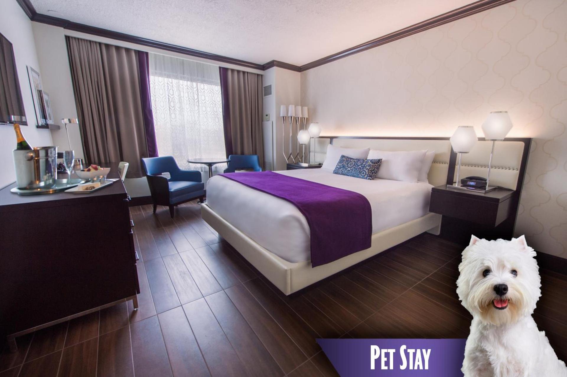 Harrah's Gulf Coast Hotel & Casino - A Caesars Rewards Destination photo 38