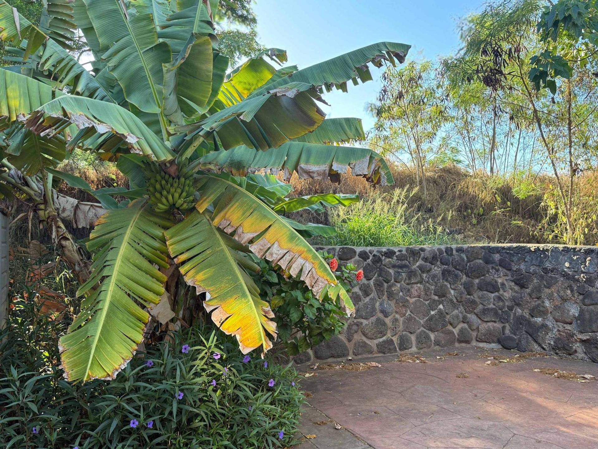 Beachfront B&B w Free Breakfast, AC & Sunset View photo 13