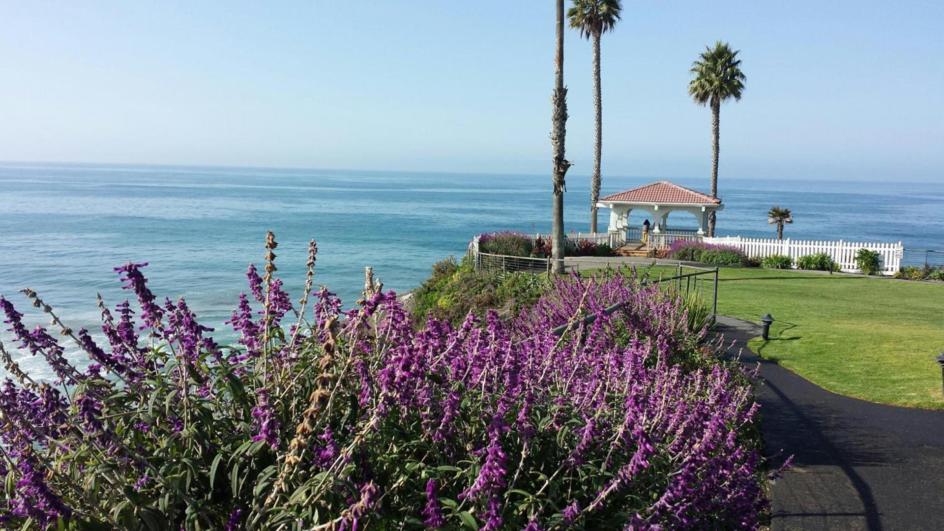 Pacific Point Resort photo 13