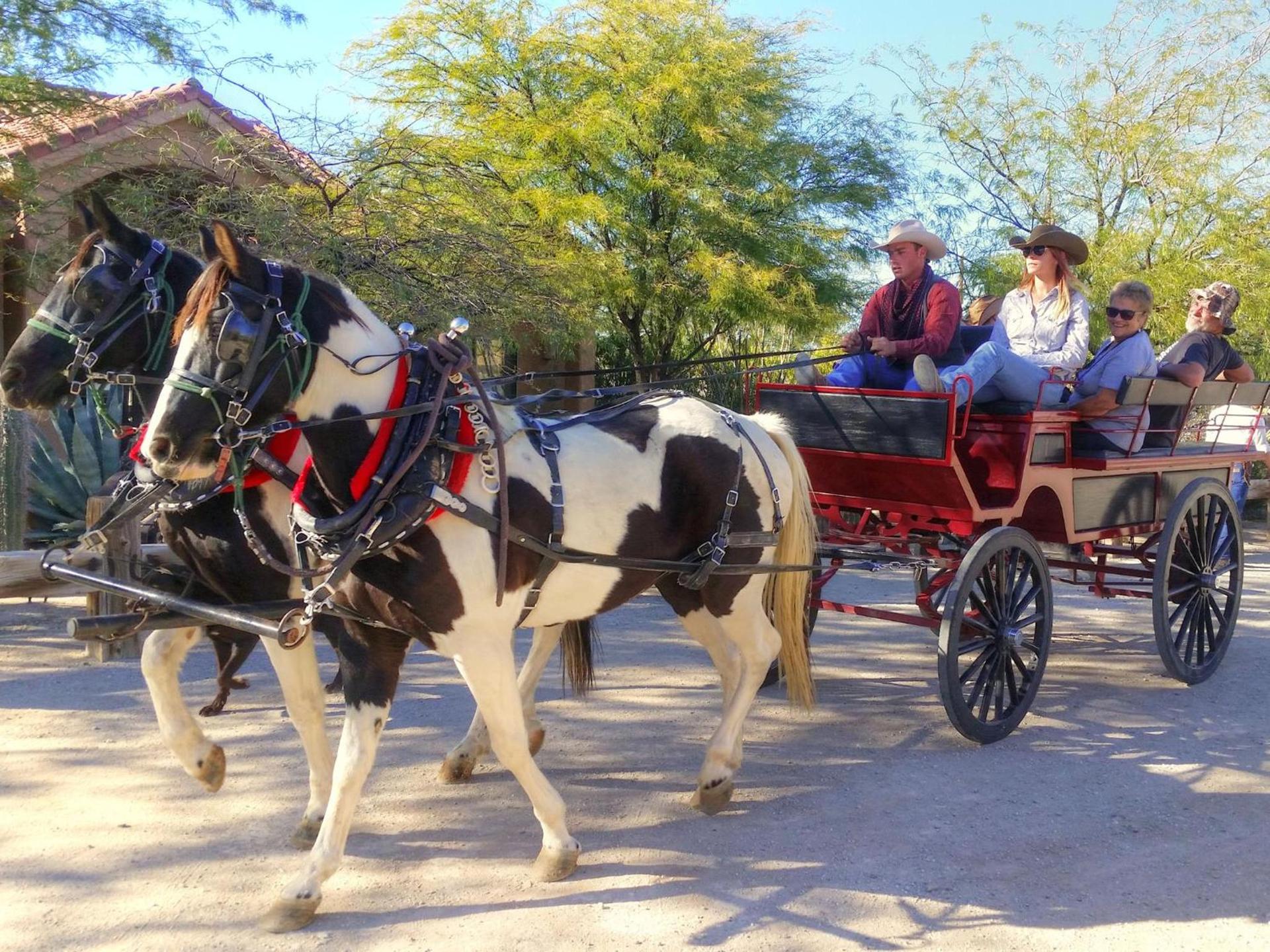 Stagecoach Trails Guest Ranch photo 15