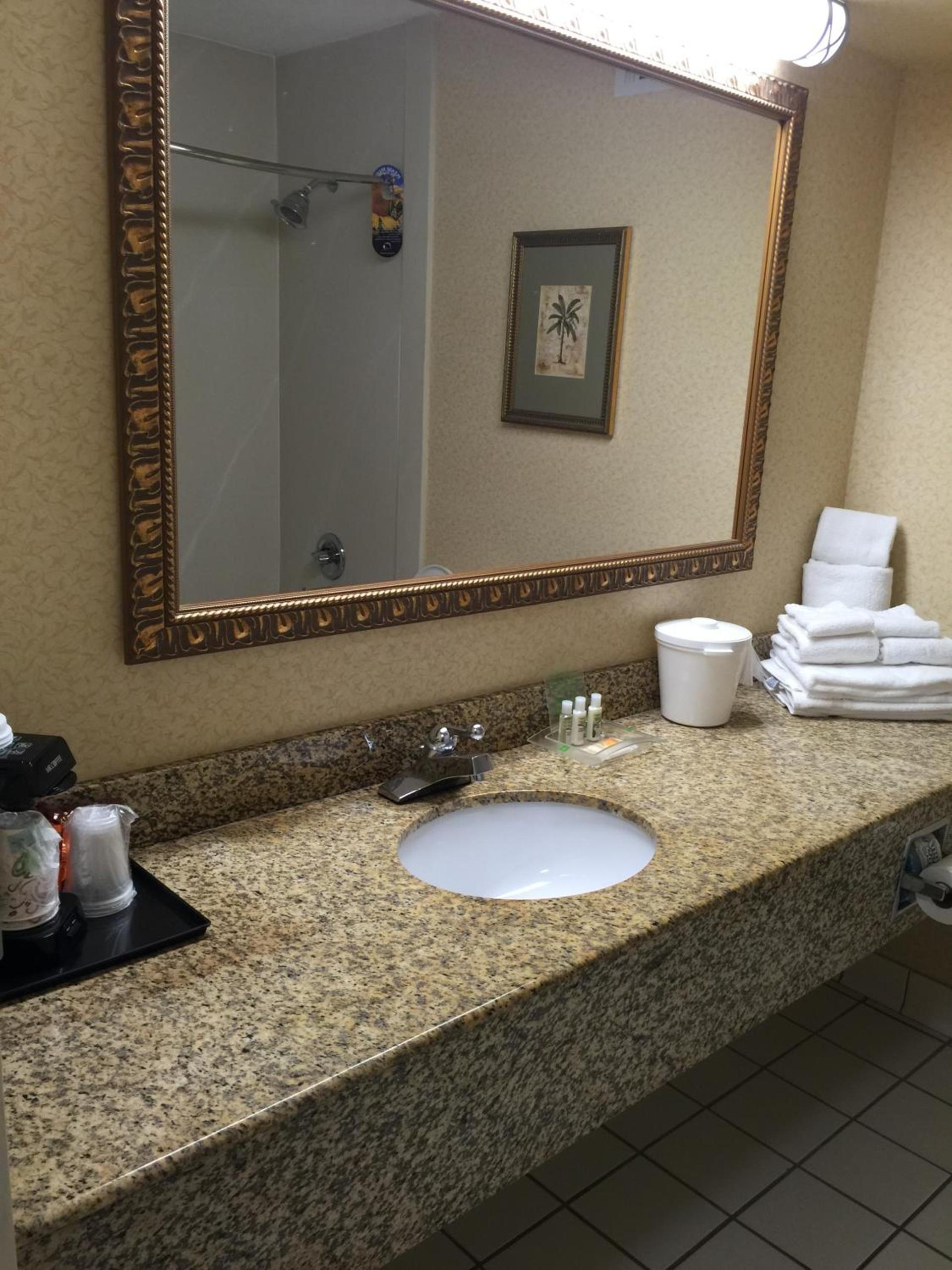 Holiday Inn Lumberton by IHG photo 5