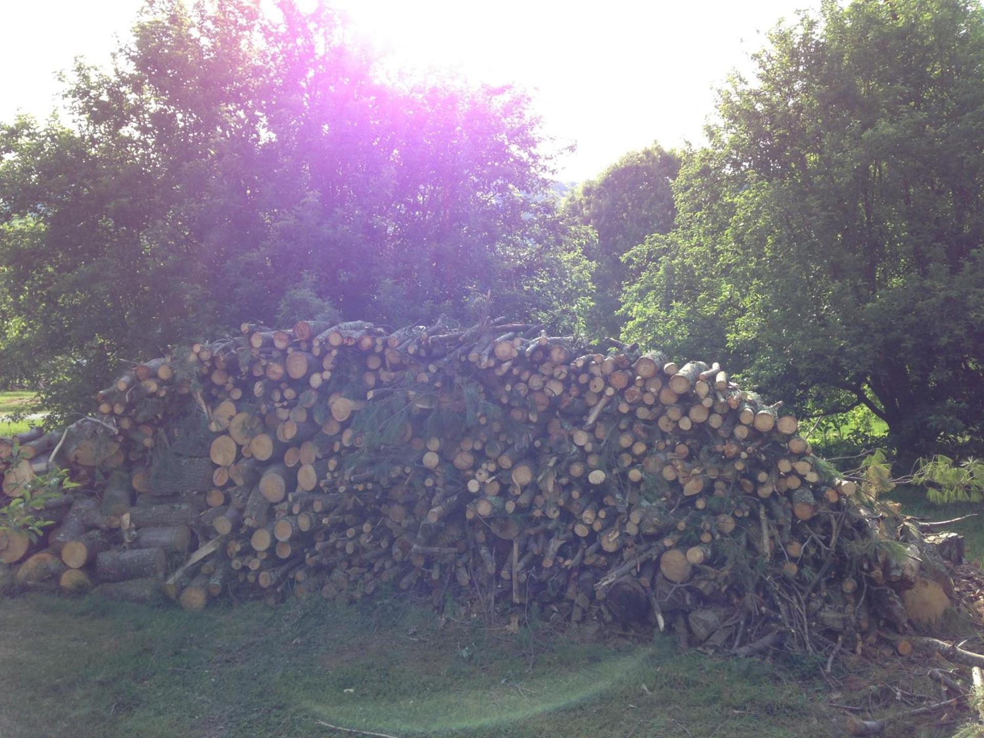 Grandview Lodge photo 19
