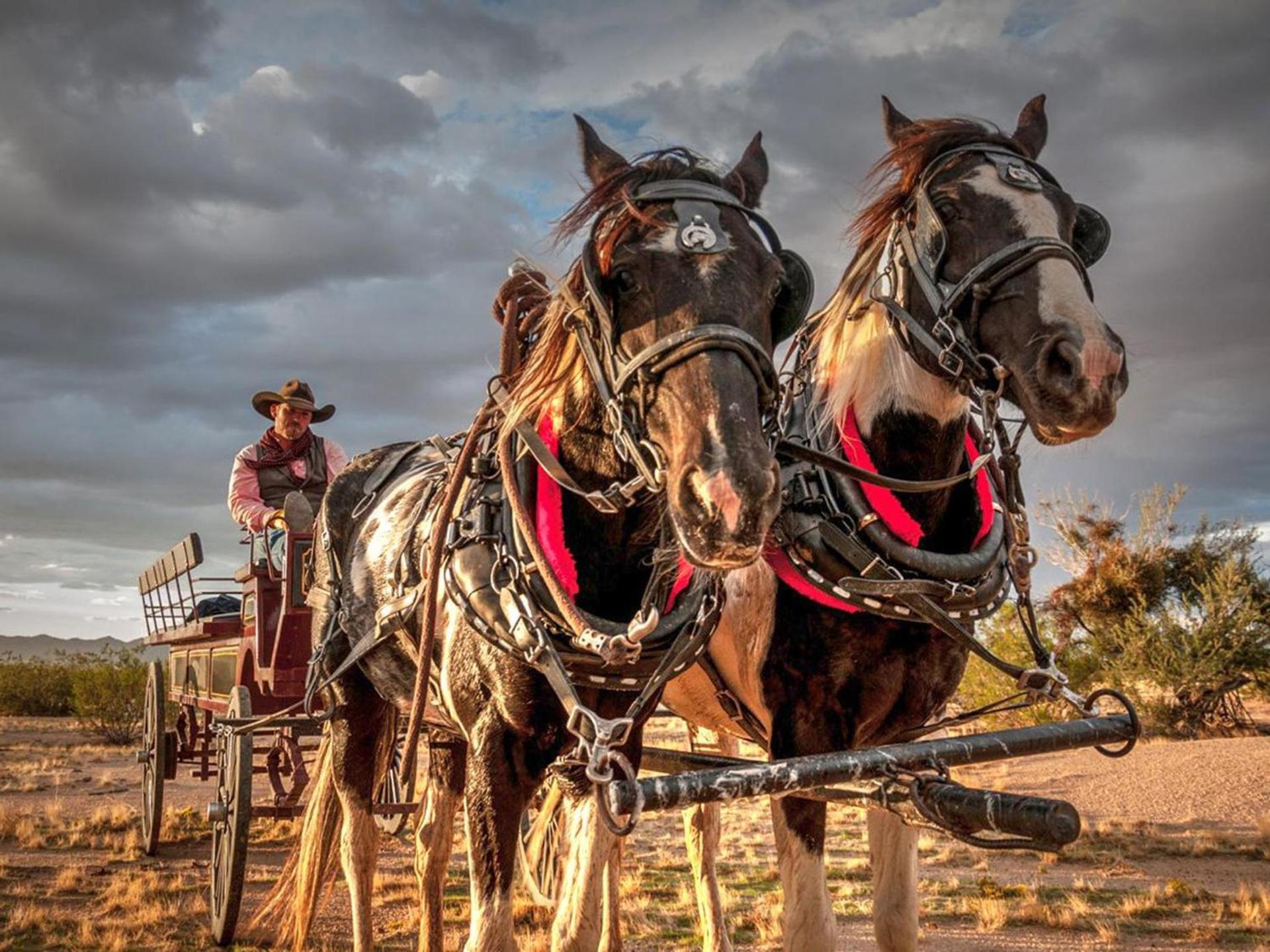 Stagecoach Trails Guest Ranch photo 67