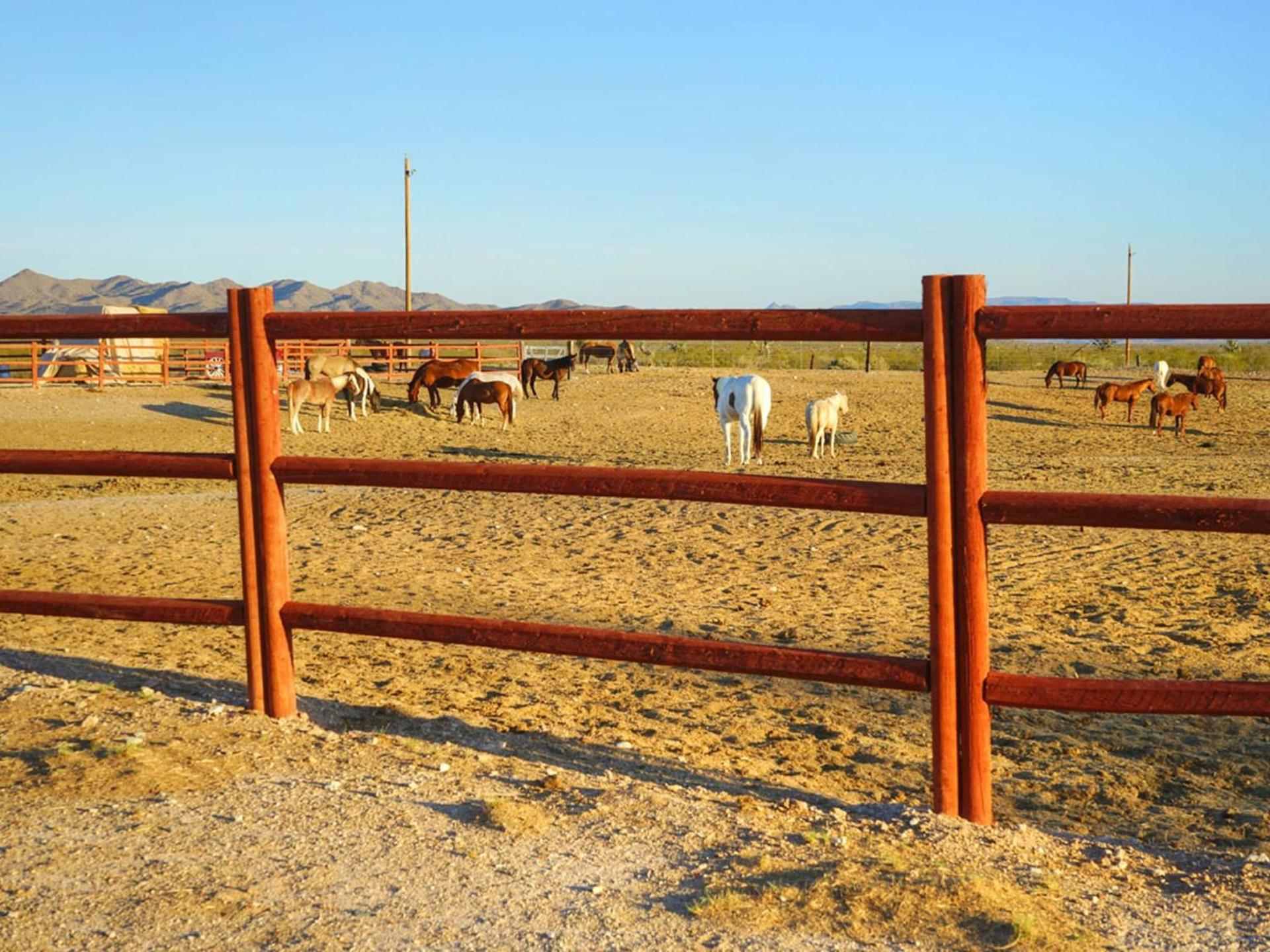 Stagecoach Trails Guest Ranch photo 68